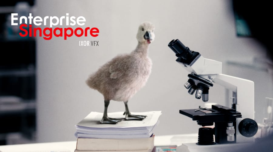 Enterprise Singapore